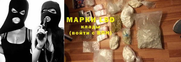 гидра Медвежьегорск