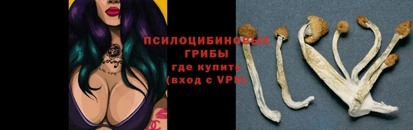 гидра Медвежьегорск