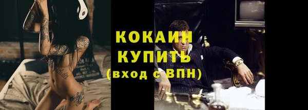 гидра Медвежьегорск