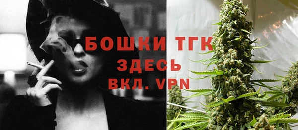 гидра Медвежьегорск