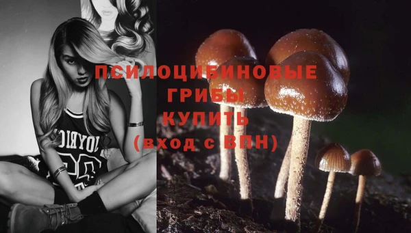 кристаллы Мегион