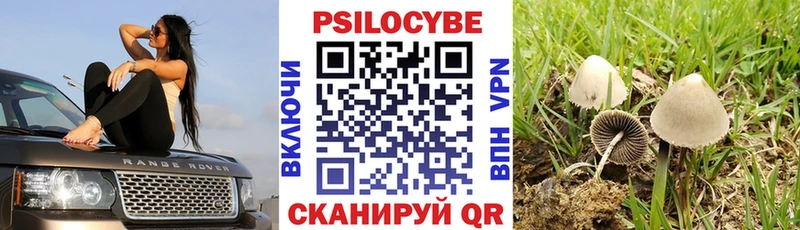 ссылка на мегу ONION  Салават  Галлюциногенные грибы Psilocybine cubensis 