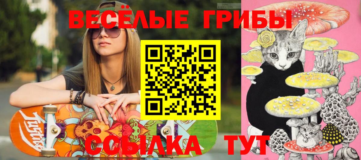 Псилоцибиновые грибы ЛСД  Вход с VPN  Салават 